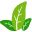 CleanPNG | 超过数百万张透明背景的免费素材库 logo