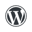 适用于博客到大型网站的 CMS (内容管理系统) | WordPress.org China 简体中文 logo
