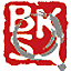 中国学术会议报道 logo