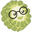 苦瓜书盘官网 logo