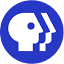 PBS: Public Broadcasting Service logo