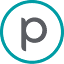 RapidEye logo