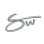 Streetwill |免费高清照片。 logo