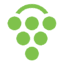 游戏葡萄 logo